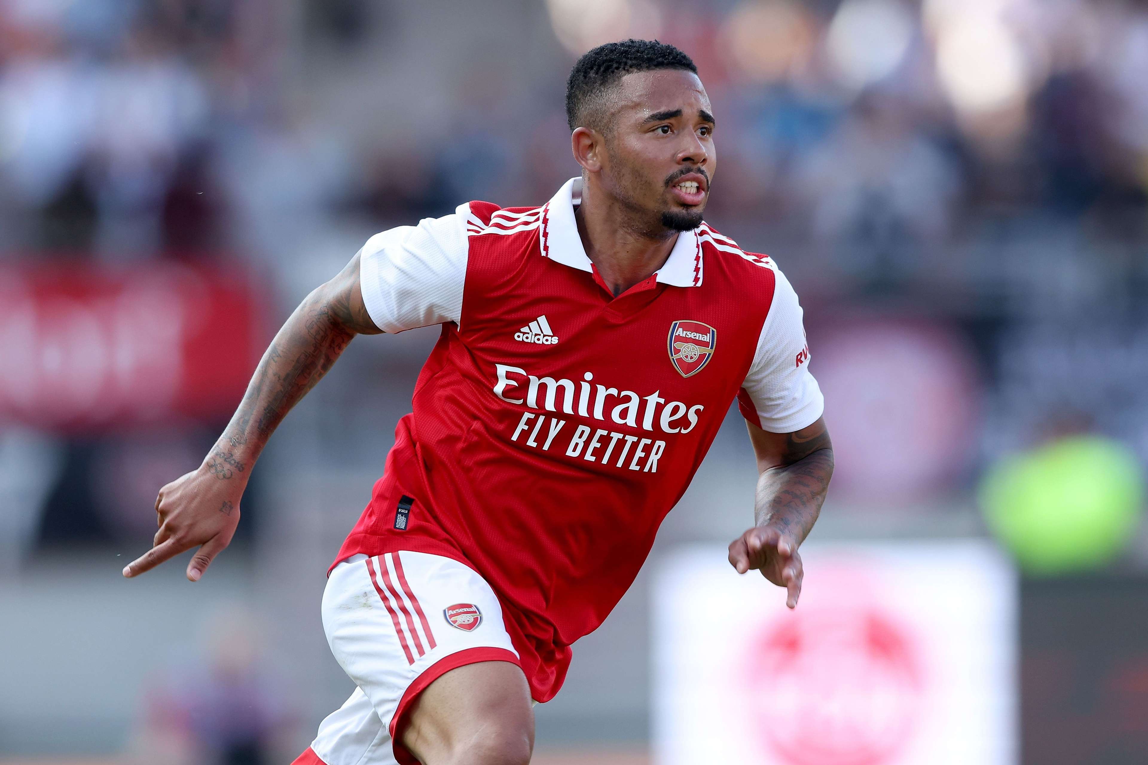 和坚韧的意 和坚韧的意