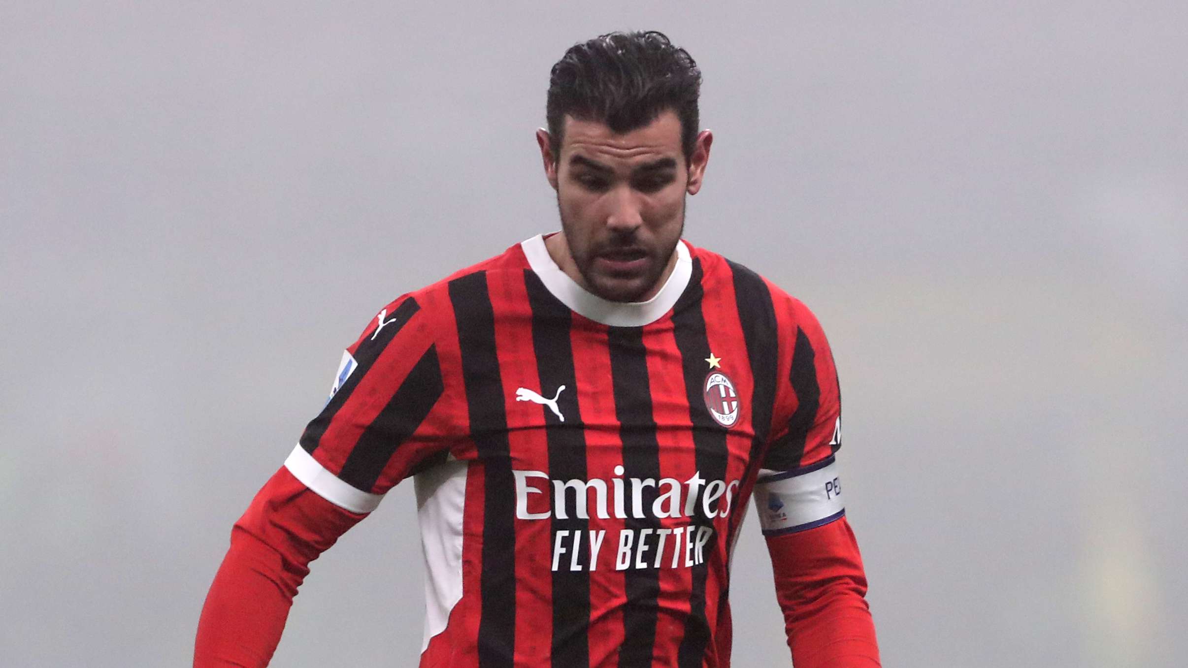 锡林郭勒草 锡林郭勒草