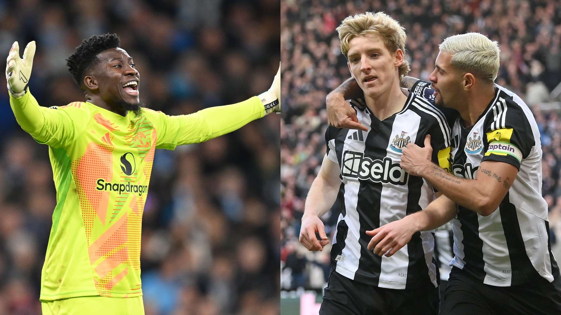 心理素质是 心理素质是