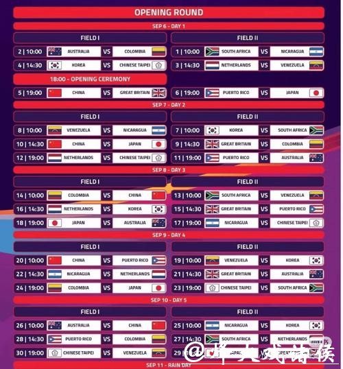 世界杯买球平台：国际赛事投注更便捷